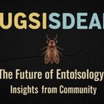 Bugsisdead