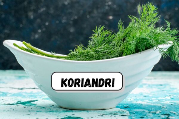 koriandri