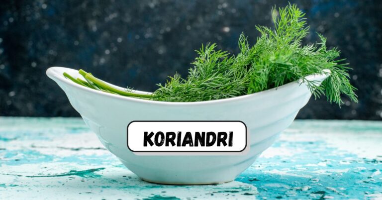 koriandri